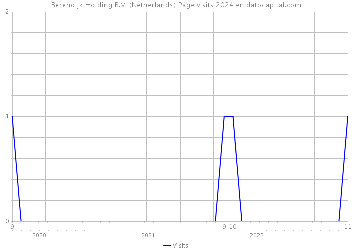 Berendijk Holding B.V. (Netherlands) Page visits 2024 