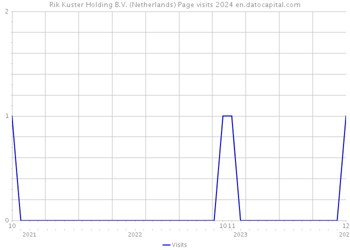 Rik Kuster Holding B.V. (Netherlands) Page visits 2024 