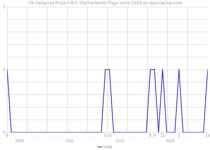 CA Vastgoed Project B.V. (Netherlands) Page visits 2024 