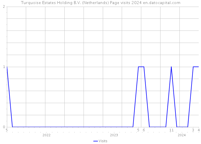 Turquoise Estates Holding B.V. (Netherlands) Page visits 2024 
