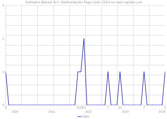 Veltmann Beheer B.V. (Netherlands) Page visits 2024 