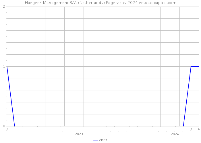 Haegens Management B.V. (Netherlands) Page visits 2024 