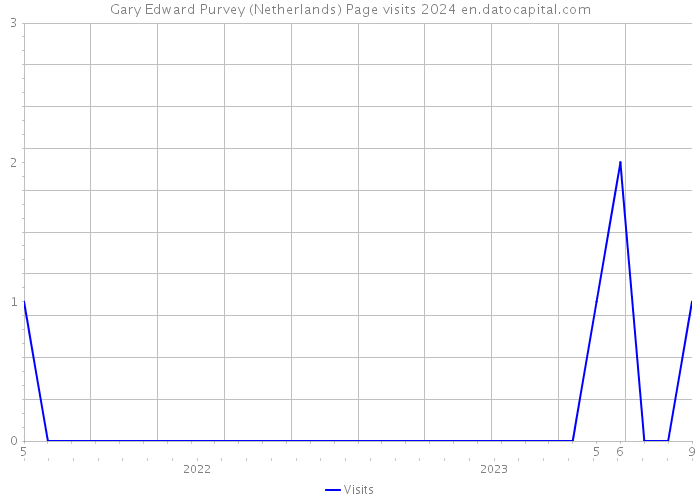 Gary Edward Purvey (Netherlands) Page visits 2024 