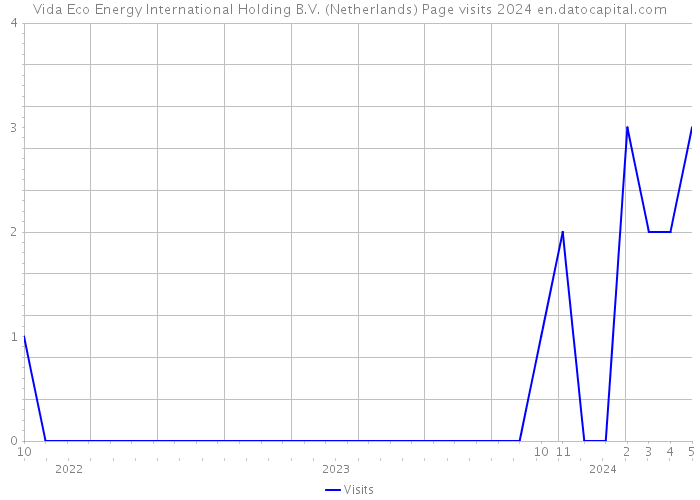 Vida Eco Energy International Holding B.V. (Netherlands) Page visits 2024 