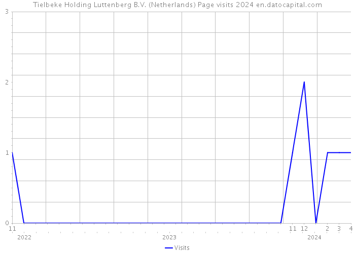 Tielbeke Holding Luttenberg B.V. (Netherlands) Page visits 2024 