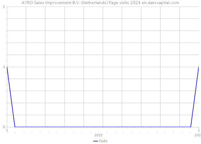 AYRO Sales Improvement B.V. (Netherlands) Page visits 2024 