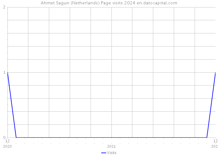Ahmet Sagun (Netherlands) Page visits 2024 