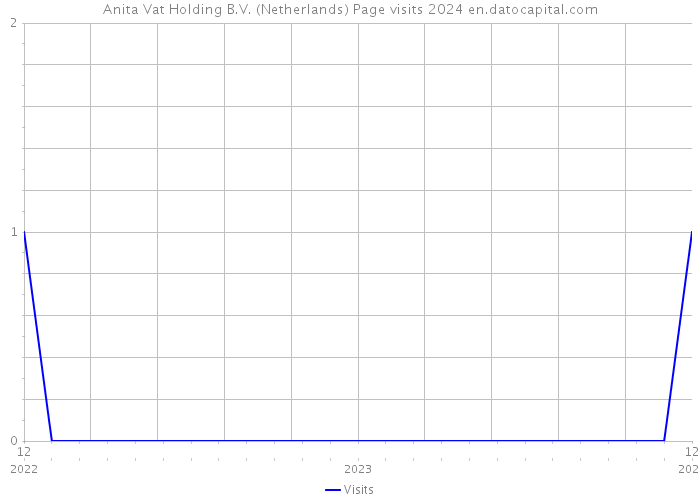 Anita Vat Holding B.V. (Netherlands) Page visits 2024 