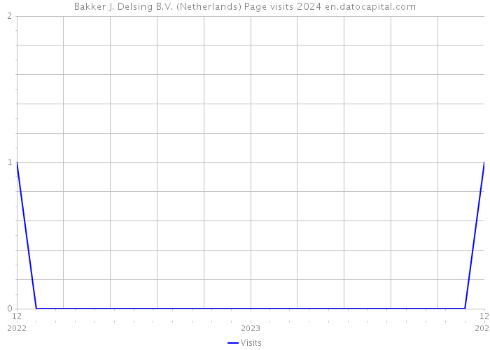 Bakker J. Delsing B.V. (Netherlands) Page visits 2024 