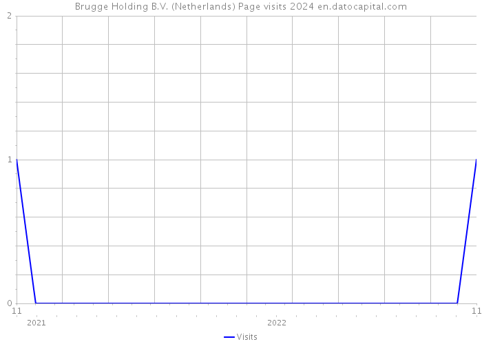 Brugge Holding B.V. (Netherlands) Page visits 2024 
