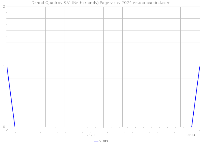 Dental Quadros B.V. (Netherlands) Page visits 2024 