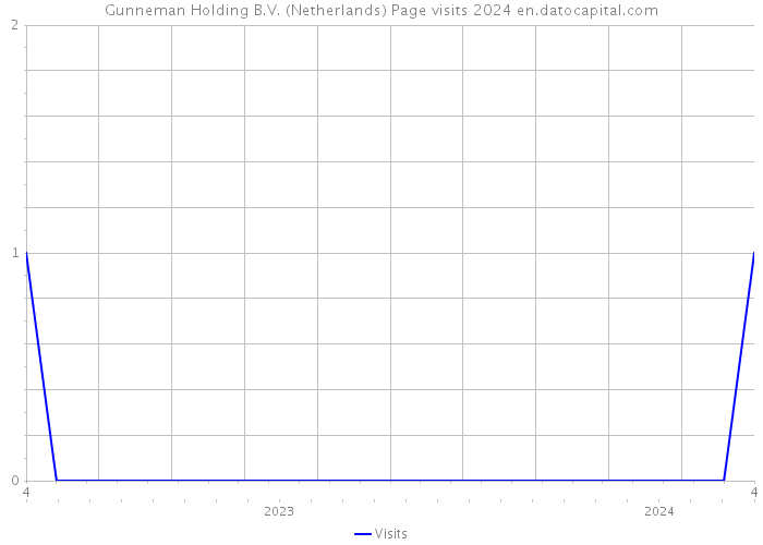 Gunneman Holding B.V. (Netherlands) Page visits 2024 