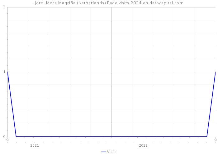 Jordi Mora Magriña (Netherlands) Page visits 2024 