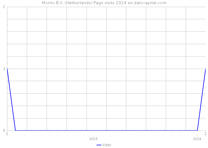Monto B.V. (Netherlands) Page visits 2024 