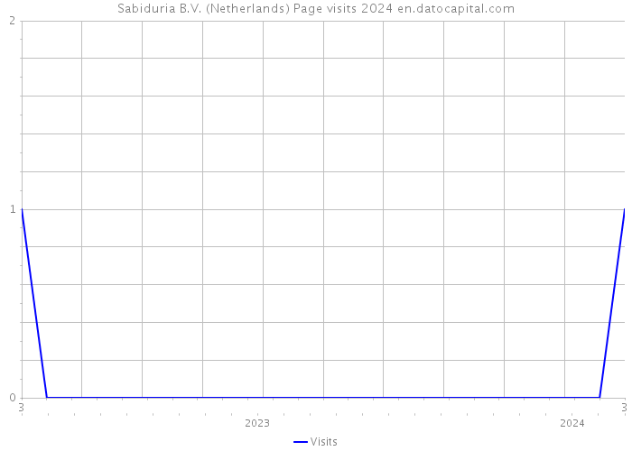 Sabiduria B.V. (Netherlands) Page visits 2024 