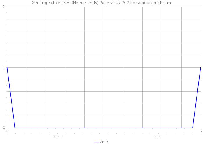 Sinning Beheer B.V. (Netherlands) Page visits 2024 