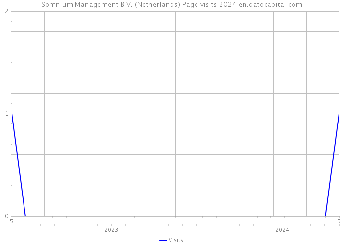 Somnium Management B.V. (Netherlands) Page visits 2024 
