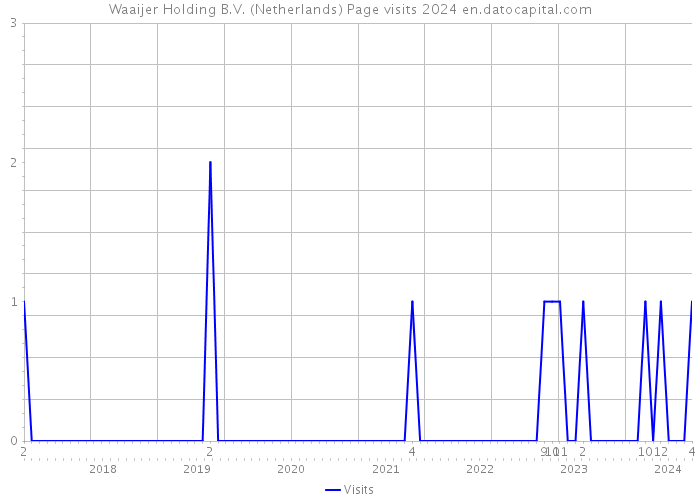 Waaijer Holding B.V. (Netherlands) Page visits 2024 