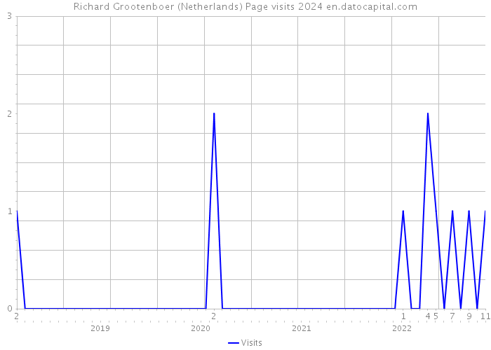 Richard Grootenboer (Netherlands) Page visits 2024 