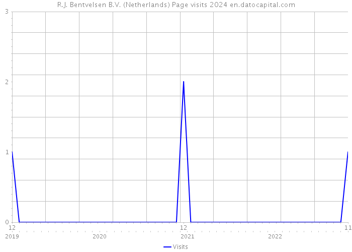 R.J. Bentvelsen B.V. (Netherlands) Page visits 2024 