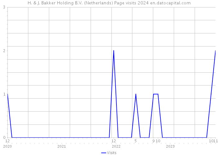 H. & J. Bakker Holding B.V. (Netherlands) Page visits 2024 