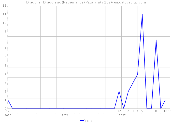 Dragomir Dragojevic (Netherlands) Page visits 2024 