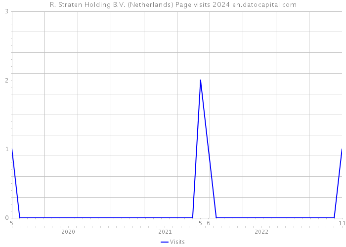 R. Straten Holding B.V. (Netherlands) Page visits 2024 
