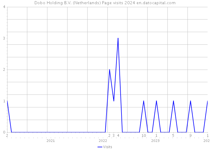 Dobo Holding B.V. (Netherlands) Page visits 2024 