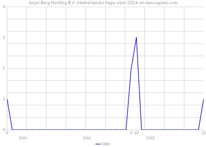 Arjen Berg Holding B.V. (Netherlands) Page visits 2024 