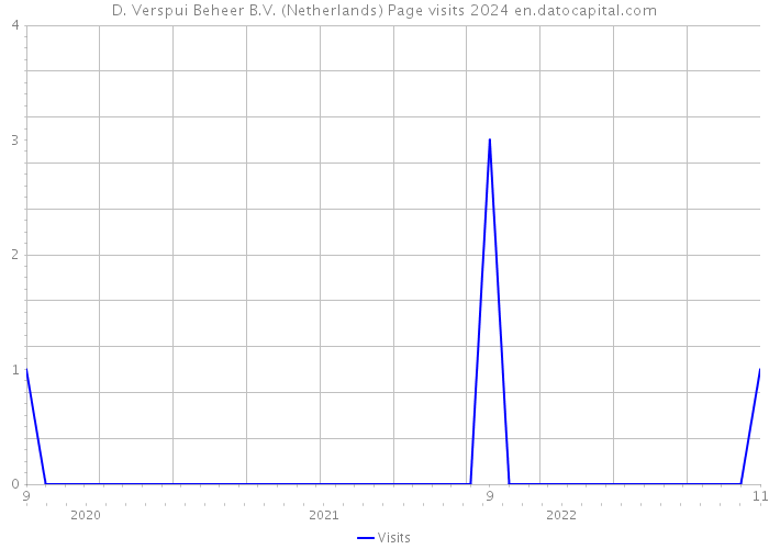 D. Verspui Beheer B.V. (Netherlands) Page visits 2024 