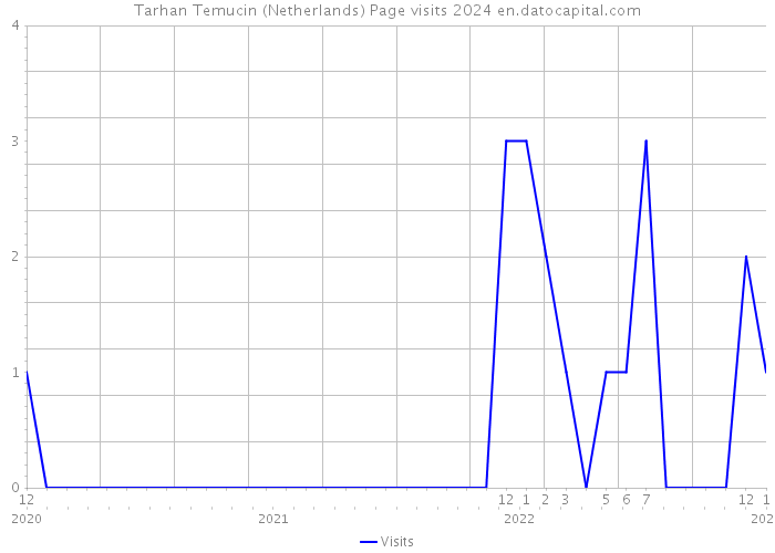 Tarhan Temucin (Netherlands) Page visits 2024 