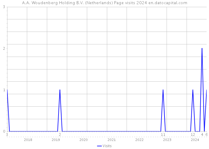 A.A. Woudenberg Holding B.V. (Netherlands) Page visits 2024 
