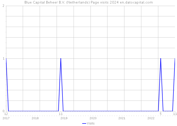 Blue Capital Beheer B.V. (Netherlands) Page visits 2024 