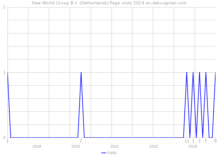 New World Group B.V. (Netherlands) Page visits 2024 