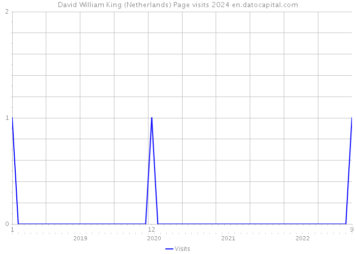 David William King (Netherlands) Page visits 2024 