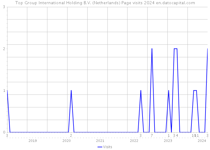 Top Group International Holding B.V. (Netherlands) Page visits 2024 