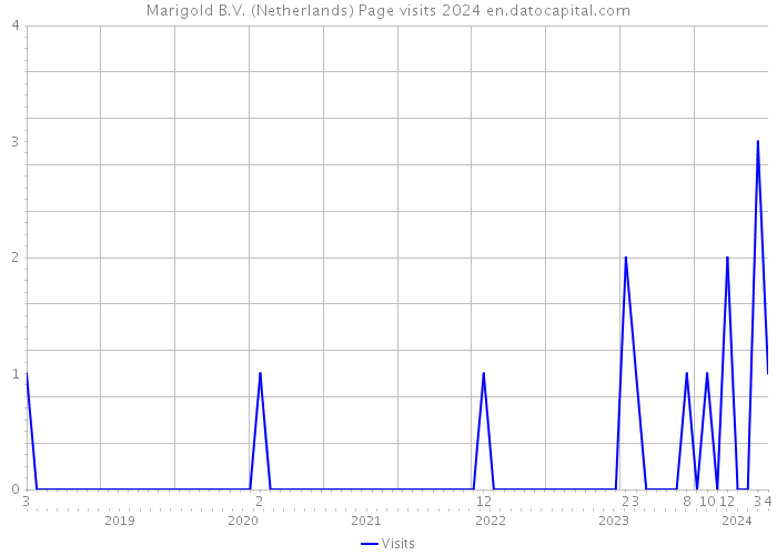 Marigold B.V. (Netherlands) Page visits 2024 