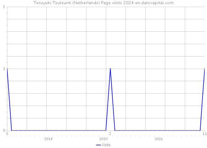 Teruyuki Tsutsumi (Netherlands) Page visits 2024 