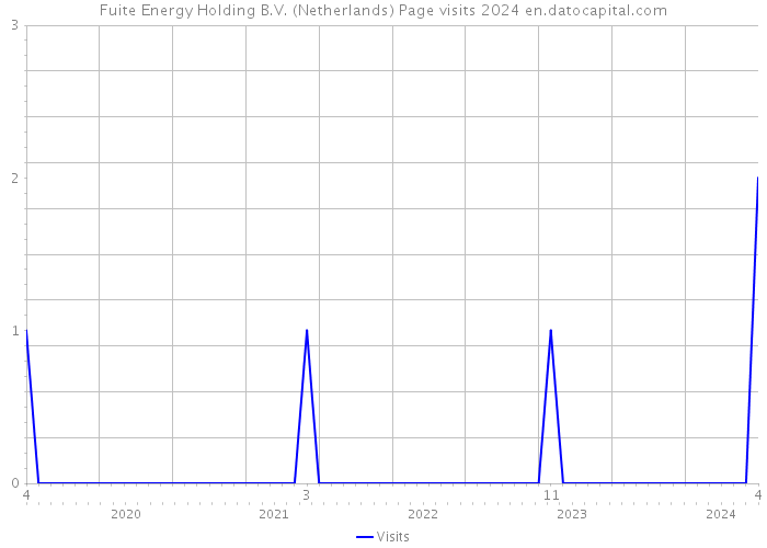 Fuite Energy Holding B.V. (Netherlands) Page visits 2024 