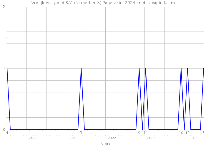 Vrolijk Vastgoed B.V. (Netherlands) Page visits 2024 