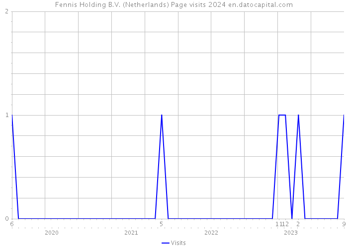 Fennis Holding B.V. (Netherlands) Page visits 2024 