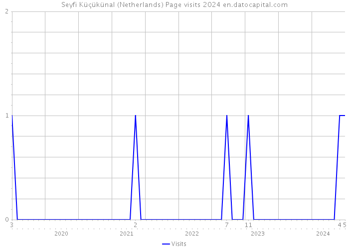 Seyfi Küçükünal (Netherlands) Page visits 2024 