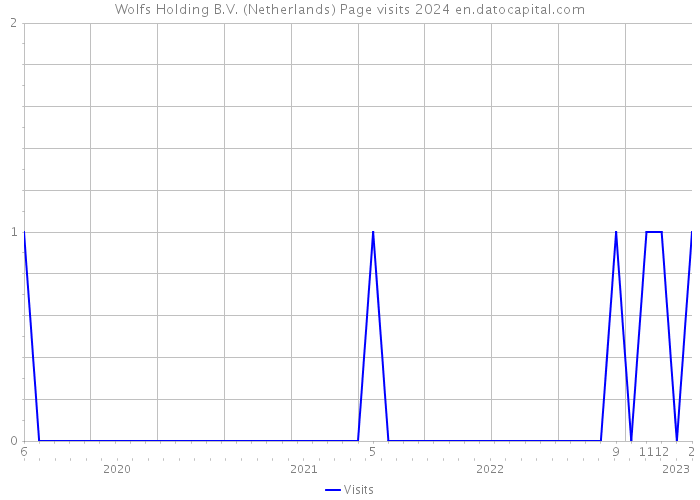 Wolfs Holding B.V. (Netherlands) Page visits 2024 
