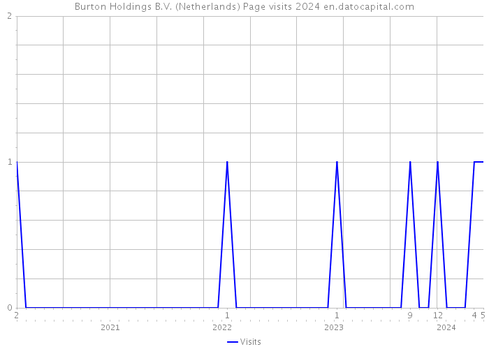 Burton Holdings B.V. (Netherlands) Page visits 2024 