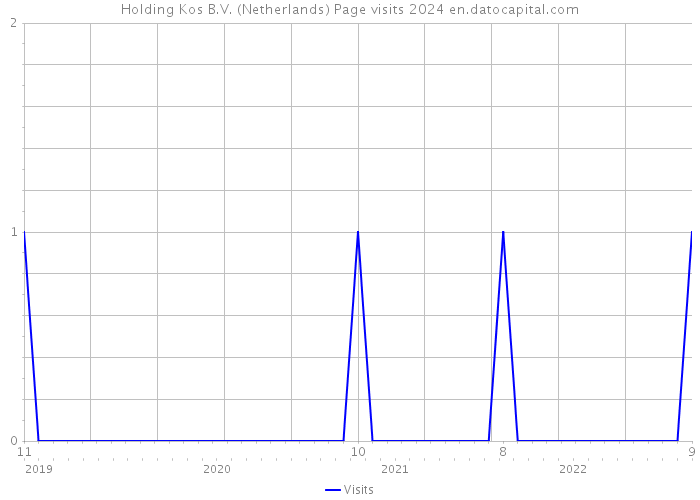 Holding Kos B.V. (Netherlands) Page visits 2024 