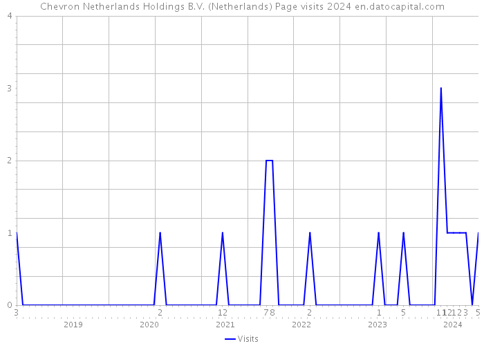 Chevron Netherlands Holdings B.V. (Netherlands) Page visits 2024 