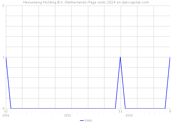 Hessenweg Holding B.V. (Netherlands) Page visits 2024 