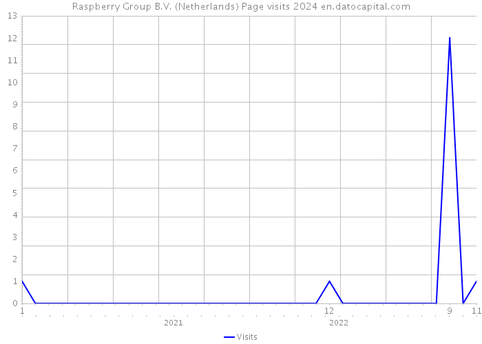 Raspberry Group B.V. (Netherlands) Page visits 2024 