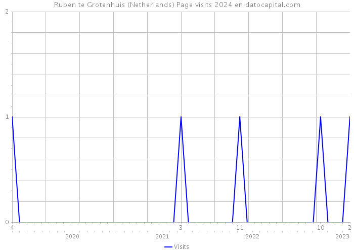 Ruben te Grotenhuis (Netherlands) Page visits 2024 