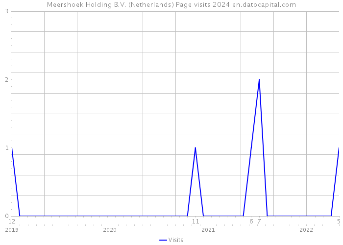 Meershoek Holding B.V. (Netherlands) Page visits 2024 